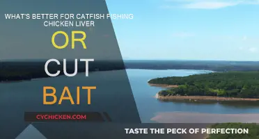 Catfish Bait: Chicken Liver vs Cut Bait