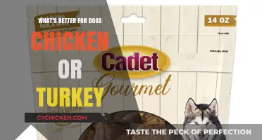 Chicken vs. Turkey: Which Protein is Best for Your Dog?