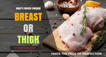 Chicken Breast vs. Thigh: Which Cut is Bigger?