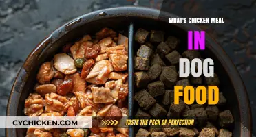 Understanding Chicken Meal in Dog Food: Benefits, Uses, and Safety