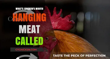 What's the Hanging Meat Under a Chicken's Mouth Called?