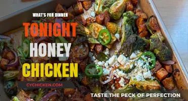 Delicious Honey Chicken Dinner Recipe: Tonight's Sweet & Savory Delight