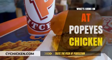 Popeyes Chicken Buzz: Latest Updates, Trends, and Menu Surprises