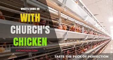Church's Chicken Crisis: Unraveling Recent Changes and Customer Concerns