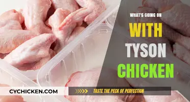 Tyson Chicken Crisis: Unraveling the Controversies and Supply Chain Issues