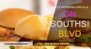 Chick-a-la-Blvd: What's Happening on Southside?