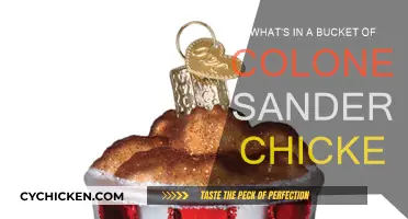 Colonel Sanders' Chicken Bucket: What's the Secret Recipe?