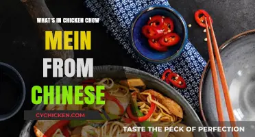Exploring the Ingredients in Traditional Chinese Chicken Chow Mein