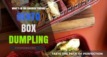 Chicken Teriyaki Bento: Dumplings, Surprises, and More!