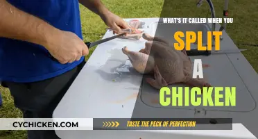 The Art of Butchering: Breaking Down a Chicken