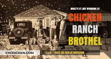 Inside the Chicken Ranch: A Day in the Life of a Brothel Worker