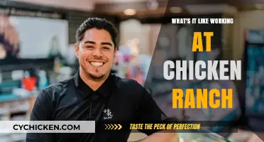 Inside the Chicken Ranch: A Day in the Life of Employees