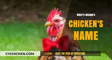 Unveiling Moana's Feathered Friend: The Name of Her Chicken Companion