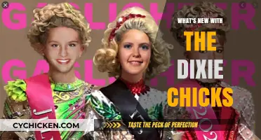 Dixie Chicks' Evolution: New Music, Name Change, and Comeback
