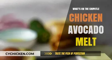 Chipotle Chicken Avocado Melt: Ingredients, Flavors, and Recipe Breakdown