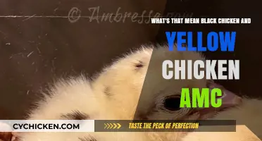 Black and Yellow Chickens: AMC's Secret Code?