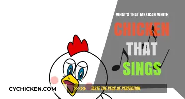 Discover the Mexican White Singing Chicken: A Unique Musical Bird