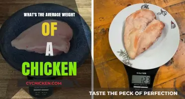 Understanding the Average Weight of a Chicken: A Comprehensive Guide