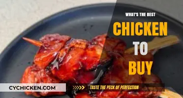 Choosing the Perfect Chicken: A Buyer's Guide to Quality Poultry