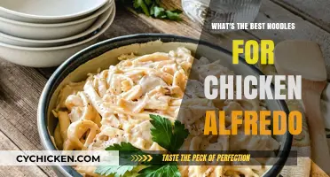 Perfect Pairing: Top Noodle Choices for Creamy Chicken Alfredo