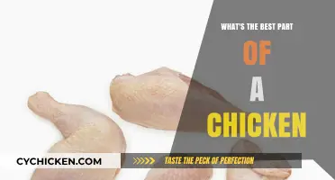 Discovering the Ultimate Chicken Delight: Which Part Reigns Supreme?