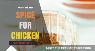Elevate Your Chicken Dishes: Discover the Ultimate Spice for Flavor