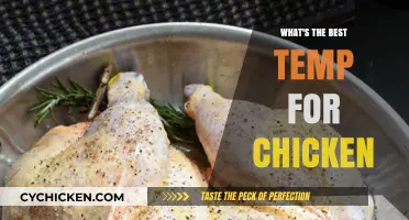 Perfect Chicken Temperature: Mastering the Ideal Heat for Juicy Results