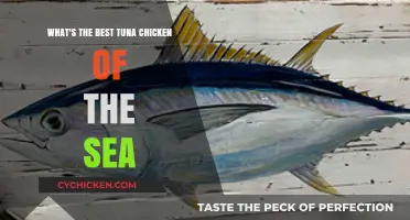 Best Chicken of the Sea Tuna: Our Top Picks