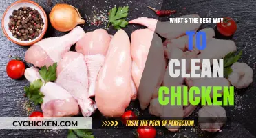Mastering Chicken Cleaning: Top Tips for Safe and Effective Prep