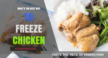 Master the Art: Best Methods to Freeze Chicken Perfectly