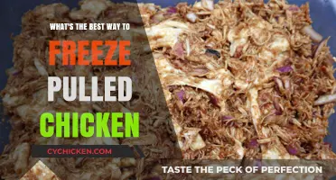 Freezing Pulled Chicken: Best Practices for Perfect Preservation