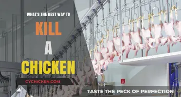 The Quickest, Most Humane Way to Dispatch a Chicken