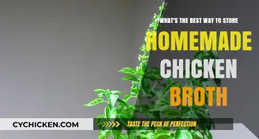 Preserving Flavor: Optimal Storage Methods for Homemade Chicken Broth