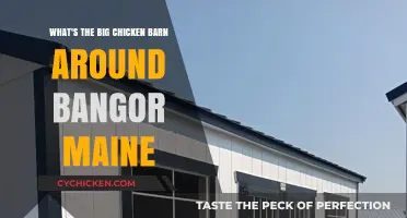 Exploring the Chicken Barn of Bangor, Maine