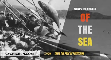 Unveiling the Mystery: What's the Chicken of the Sea?