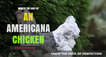 Americana Chicken Cost: Uncovering the Price of This Popular Poultry Breed