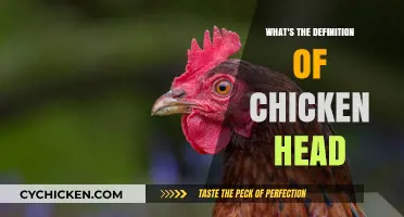 Understanding the Term: What Does 'Chicken Head' Really Mean?