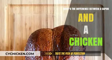 Capon vs. Chicken: Know the Difference
