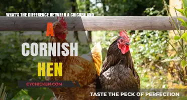 Chicken vs Cornish Hens: What's the Main Difference?