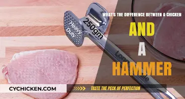 Tools vs. Animals: Hammer vs. Chicken