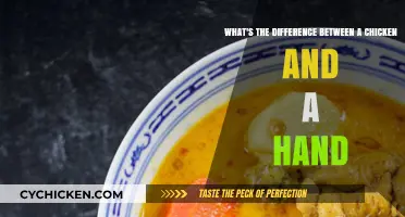 Chicken or Hand: What's the Real Difference?