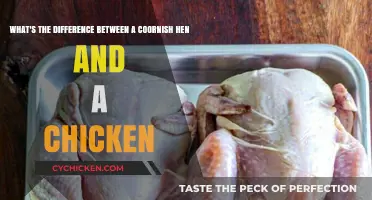 Cornish Hens vs Chickens: What's the Difference?