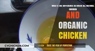 Natural vs Organic Chicken: What's the Real Difference?