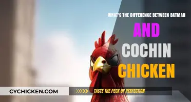 Batman vs. Cochin Chicken: What Sets Them Apart?