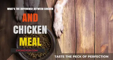 Chicken vs. Chicken Meal: What's the Real Difference?