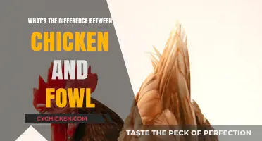 Chicken vs. Fowl: Understanding the Key Differences and Similarities
