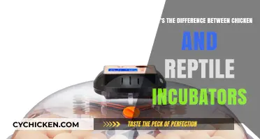 Chicken vs Reptile Incubators: What's the Difference?