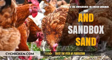 Chicken Grit vs Sandbox Sand: What's the Difference?