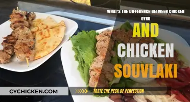Chicken Gyro vs Souvlaki: What's the Difference?