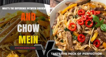 Lo Mein vs Chow Mein: Unraveling the Noodle Mystery